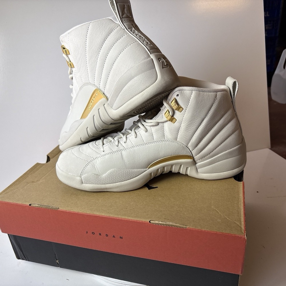 Air Jordan 12 Size 11.5M 13W Retro Phantom High Top Leather Sneaker FD9101 007
